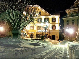 Hotel Erzherzog Johann