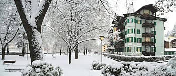 Grüner Baum Hotels