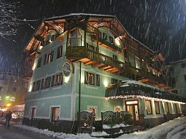 Hotel Alpina