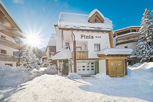 Chalet Pinis